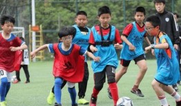 国足家长爆料视频大全,揭秘足球天才背后的故事