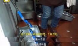 小龙被爆料视频在线观看,揭秘背后真相，网络热议不断